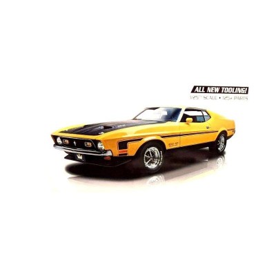 RMX4512 71 MUSTANG BOSS 351, 1/25