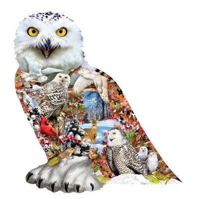 SUN96076 SNOWY OWL, shape, 19