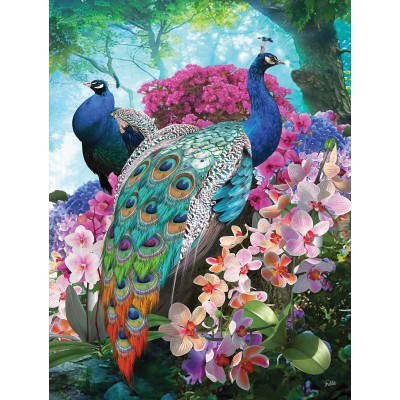 SUN42374 PRETTY PEACOCK, 300, 23