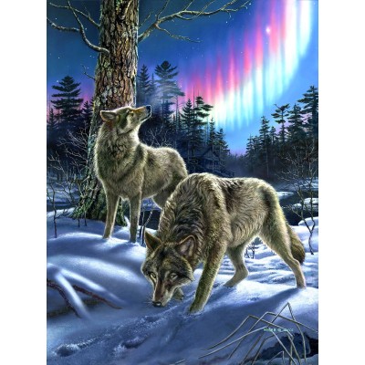 SUN28397 WOLVES AND LIGHTS, 1000, 24