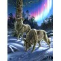 SUN28397 WOLVES AND LIGHTS, 1000, 24