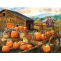 SUN23044 PUMPKIN FARM, 1000, 24h