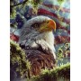 SUN21865 EAGLE COLORS, 1000, 24