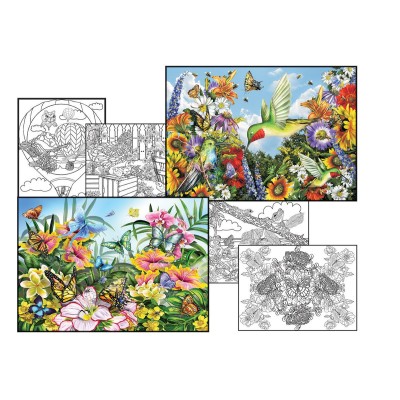 SUN10605 SCHORY COLOURING / PUZZLE *