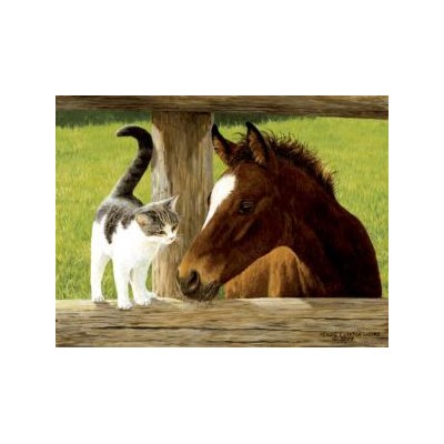 SUN51528 WHISKERY HELLO, 500, 16
