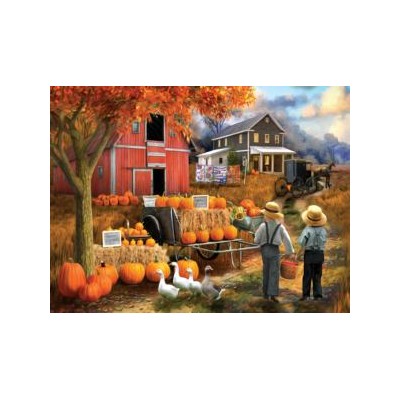 SUN23041 AMISH PUMPKIN PATCH, 300, 23