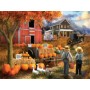 SUN23041 AMISH PUMPKIN PATCH, 300, 23