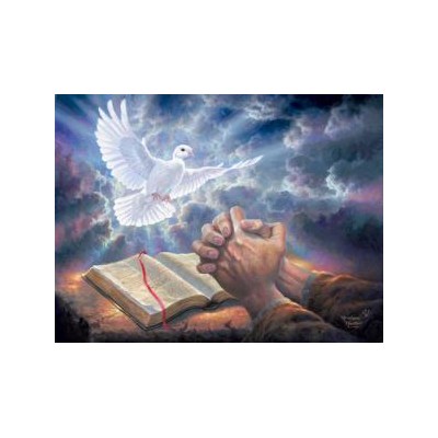 SUN69761 ANSWERED PRAYER, 500, 24