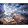 SUN69761 ANSWERED PRAYER, 500, 24