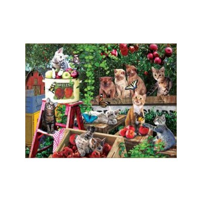 SUN42284 APPLE HARVEST, 500, 23