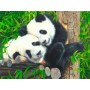 SUN54992 BAMBOO BUDDIES, 300, 24
