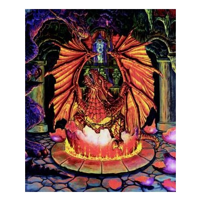 SUN20144 BIRTH OF A FIRE DRAGON, 1000, 19