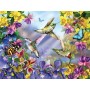 SUN34919 BUTTERFLIES & HUMMINGBIRDS, 300, 14