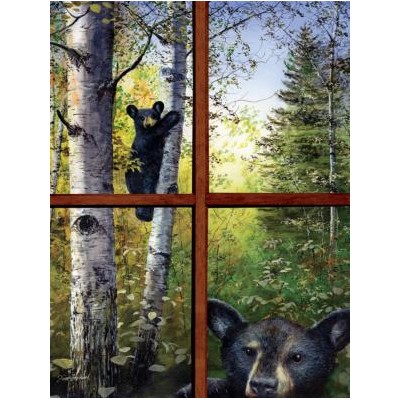 SUN67386 CAN'T BEAR TO LOOK, 300, 23