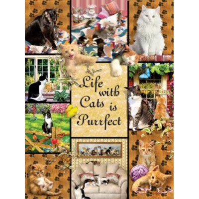 SUN35215 CATS MAKE LIFE PURR-FECT, 1000, 24