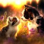 SUN61870 CATS AND DOGS, 500, 24