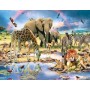 SUN59398 CRADLE OF LIFE, 1000+, 19 *