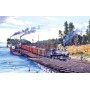 SUN49413 CROSSING COLUMBIA, 550, 19