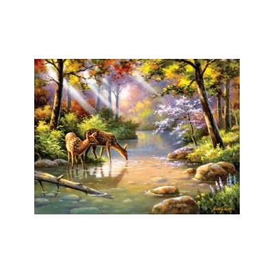 SUN36599 DOW RE ME CREEK, 300 22