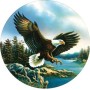 SUN28354 EAGLE LANDING, 500, 24