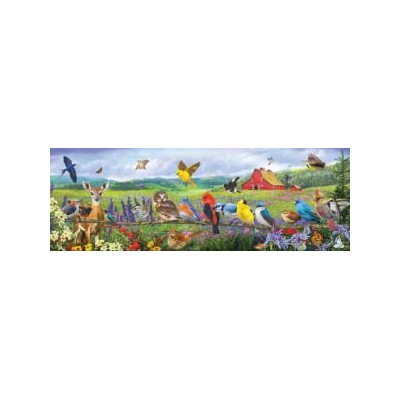 SUN71055 EASTERN BIRDS, 500 22