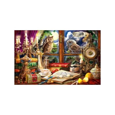SUN42985 EVENING WITH OWLS, 550, 25