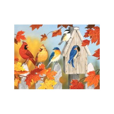 SUN30406 FALL GATHERING, 300, 25