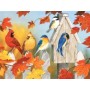SUN30406 FALL GATHERING, 300, 25