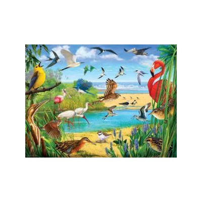 SUN70028 FLORIDA BIRDS, 1000, 20