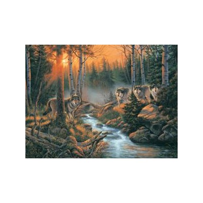 SUN26218 FOEST SHADOWS, 1000, 24