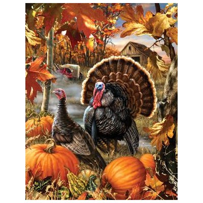 SUN57142 GOBBLER FARMS, 1000+, 12