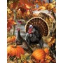 SUN57142 GOBBLER FARMS, 1000+, 12