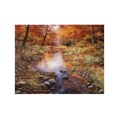 SUN44740 GOLDEN FOREST, 1000, 24