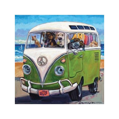 SUN73035 HANG LOOSE, 500 16