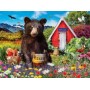 SUN72024 HONEY IN THE GARDEN, 1000, 24