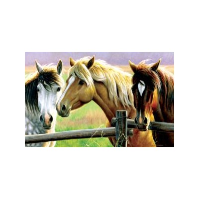SUN70922 HORSE FENCE, 1000, 18