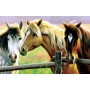 SUN70922 HORSE FENCE, 1000, 18