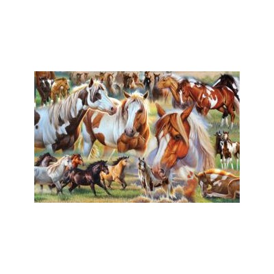 SUN70750 HORSE STAMPEDE, 1000, 25