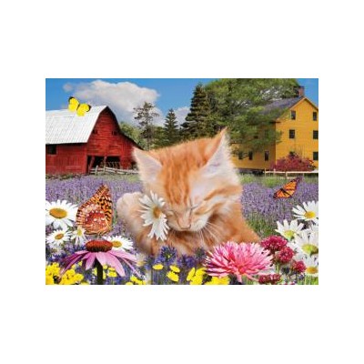 SUN72020 I WUV FLOWERS, 500, 21