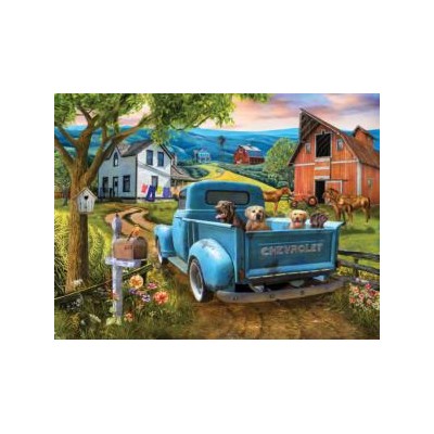 SUN29784 JOY RIDE, 300, 25