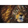 SUN71339 KING OF THE JUNGLE, 550, 25