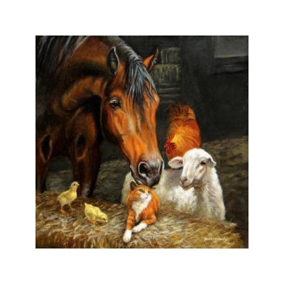 SUN62624 LEARN FROM ONE ANOTHER, 1000, 25