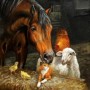 SUN62624 LEARN FROM ONE ANOTHER, 1000, 25
