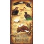 SUN66406 LIFE CYCLE OF THE BALD EAGLE, 500, 23
