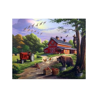 SUN71918 ORCHARD COMPANIONS, 1000, 25