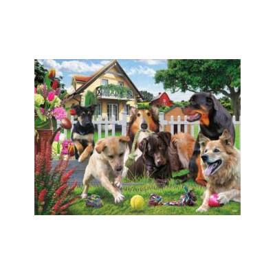 SUN42288 PLEASE PLAY WITH US, 500, 24