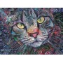 SUN71307 PSYCHEDELIC KITTY CAT, 1000, 25