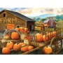 SUN23044 PUMPKIN FARM, 1000, 24h