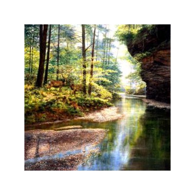 SUN44720 QUIET FOREST, 1000, 21 *