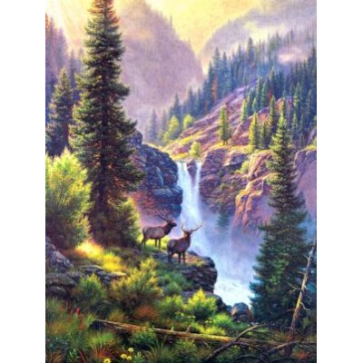 SUN53232 RIVALS IN THE MIST, 1000, 25